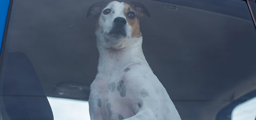 Car Lockout Solutions in East San Gabriel, California